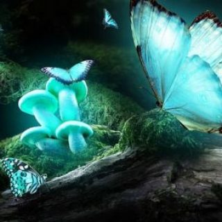 hugging-fairy-magie-o-data-poveste