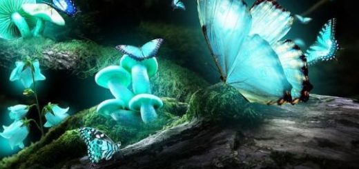 hugging-fairy-magie-o-data-poveste