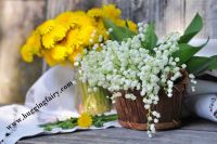 magie, flow, conectare inside